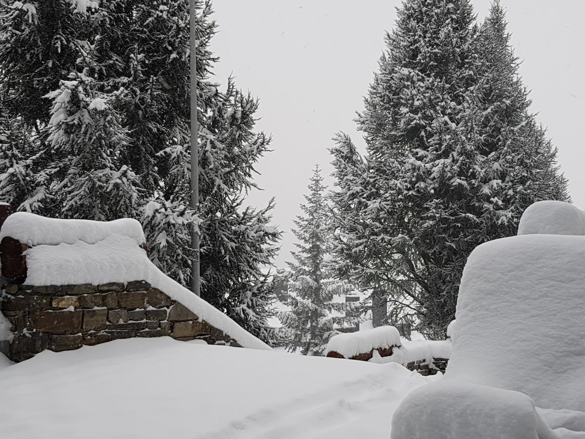 Apartamentos Multibaqueira Baqueira Beret Εξωτερικό φωτογραφία